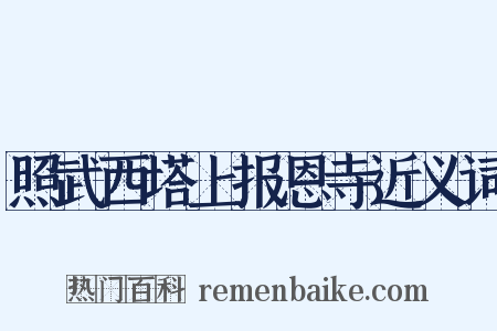 照武西塔上报恩寺近义词是什么意思的图片